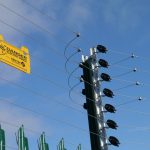 P1000136-min-scaled (1)