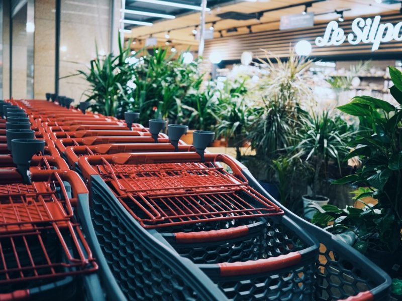 veronika-koroleva-F7hv6nSBM3c-unsplash